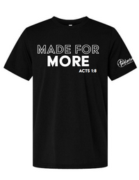 PAST T-SHIRTS